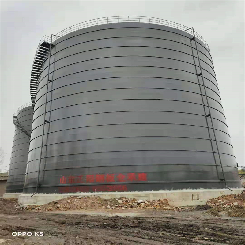 洪梅镇3万吨大型钢板库