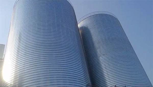 洪梅镇2座混凝土高架卷板仓